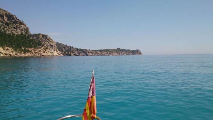 3hr Sunset Trip Drinks, Tapas SUP, Snorkel - What You Actually Do: Snorkel, Paddle Board, Swim