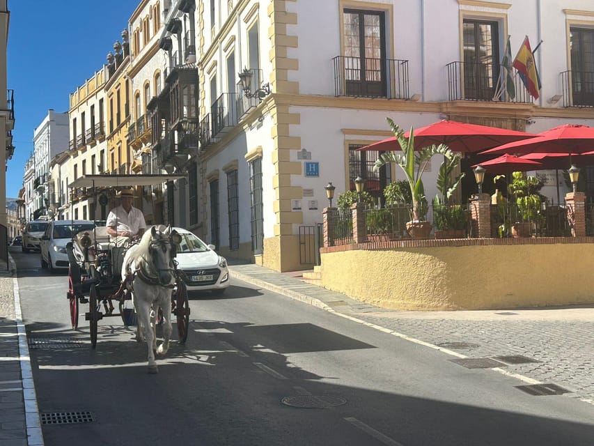 ab Marbella: Private VIP-Tour Ronda incl. Transfer + Tapas - Key things you’ll notice on this Ronda VIP tour