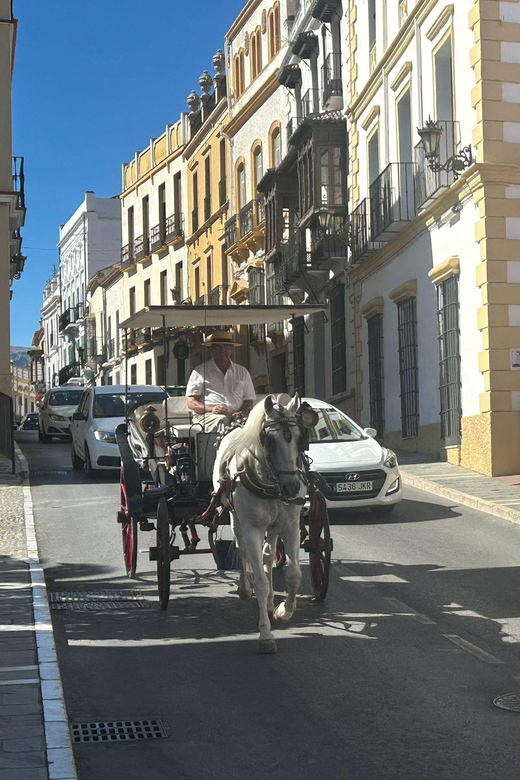 ab Marbella: Private VIP-Tour Ronda incl. Transfer + Tapas - Why Ronda hits harder with a private, calm plan