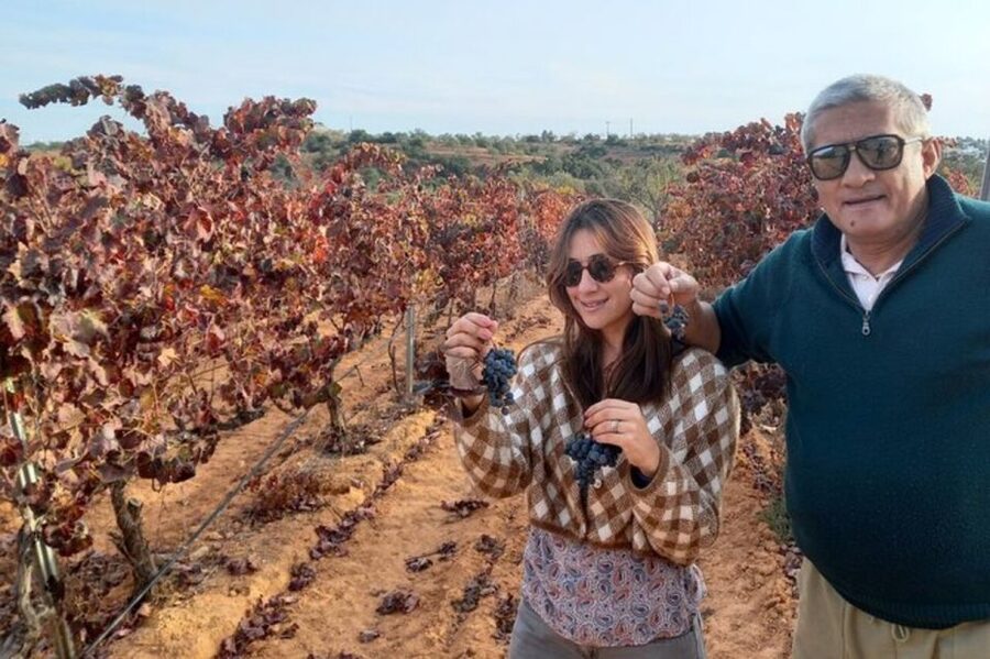 Albufeira/Vilamoura: Winery Tour with Wine Tasting and Tapas - Key Takeaways Before You Go