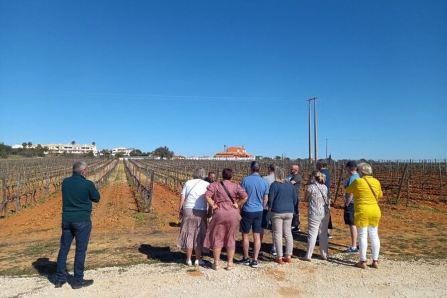 Albufeira/Vilamoura: Winery Tour with Wine Tasting and Tapas - Photos and the Best Moments to Capture