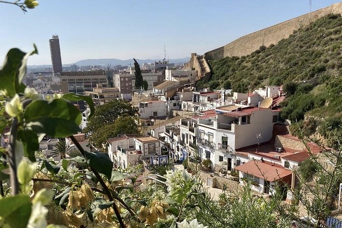 Alicante Historic Small Group Tour with Tapas Tasting - Price and value: why $35.07 can work for a short Alicante trip