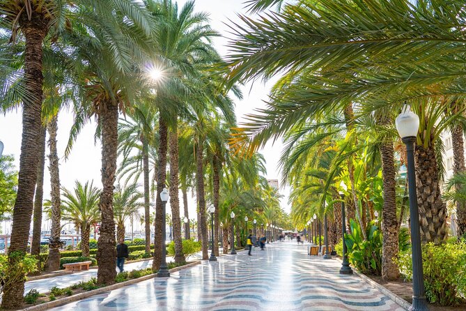 Alicante Tour: Full City, Castle, Market & Tapas Experience - Why this Alicante city tour works (and who it’s for)