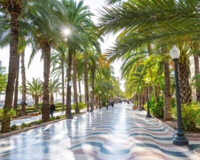 All of Alicante with the Castle, Market, and Tapas. Small group, max 6 people - Explanada de España, Casa Carbonell, and square stops that teach you the city