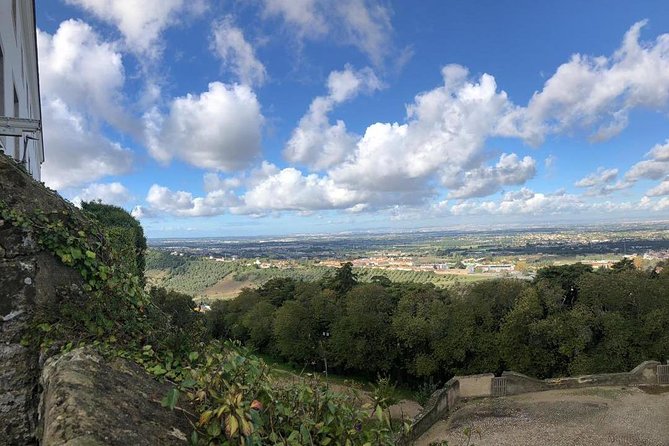 Arrábida Palmela Azeitão Private Tour - W/ Wine Tasting & Tapas - Key highlights you’ll feel the moment you start