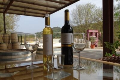Arrábida Palmela Azeitão Private Tour - W/ Wine Tasting & Tapas - Palmela Castle: hilltop defenses with a view (and time to enjoy it)