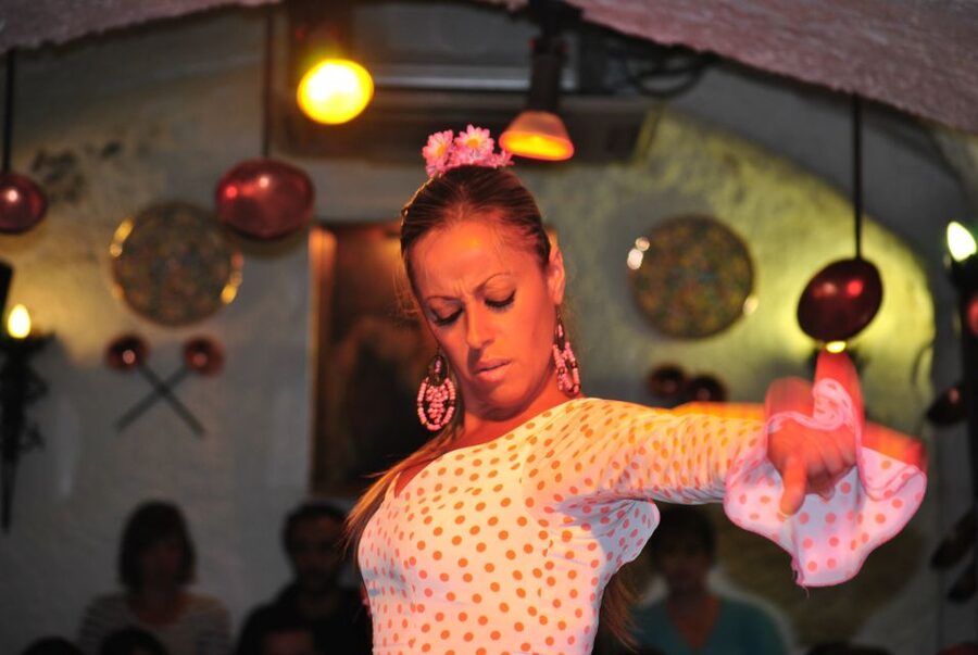 Barcelona: City Tour & Flamenco Show with Wine & Tapas - Palau Dalmases Flamenco: The Medieval Palace Part That Makes the Night