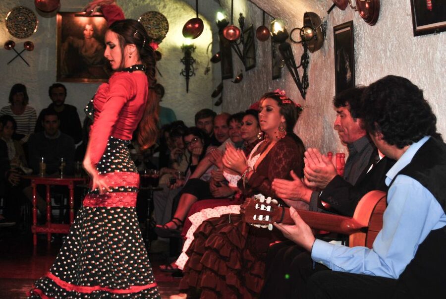 Barcelona: City Tour & Flamenco Show with Wine & Tapas - The Food and Drink Mix: Wine, Cava, Vermouth, and Beer