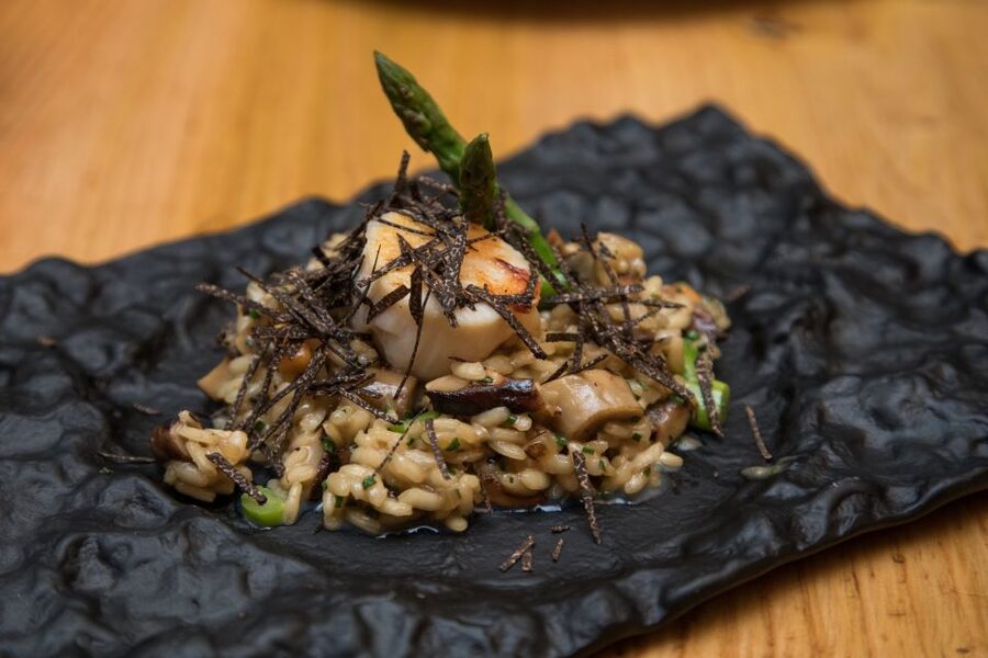 Barcelona Gourmet Food & Wine Tour with Local Expert - Quick FAQ: practical questions before you book