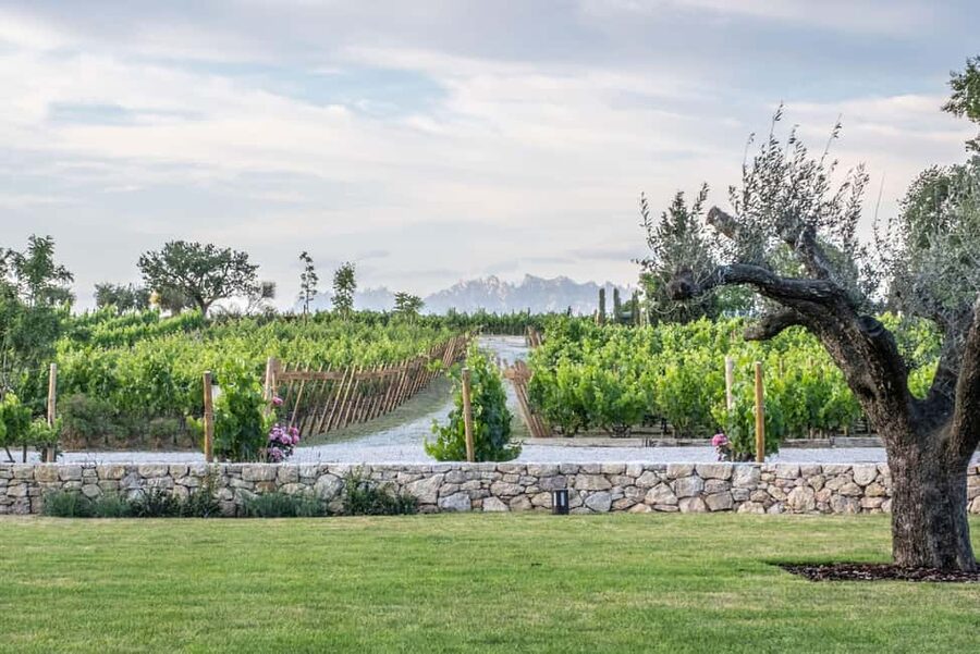 Barcelona-Penedès: Familia Torres wine & tapas winery tour - Entering Familia Torres with a Torres-family legacy video