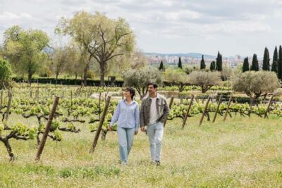 Barcelona-Penedès: Familia Torres wine & tapas winery tour - Walking the Mas La Plana vineyard and seeing regenerative viticulture up close