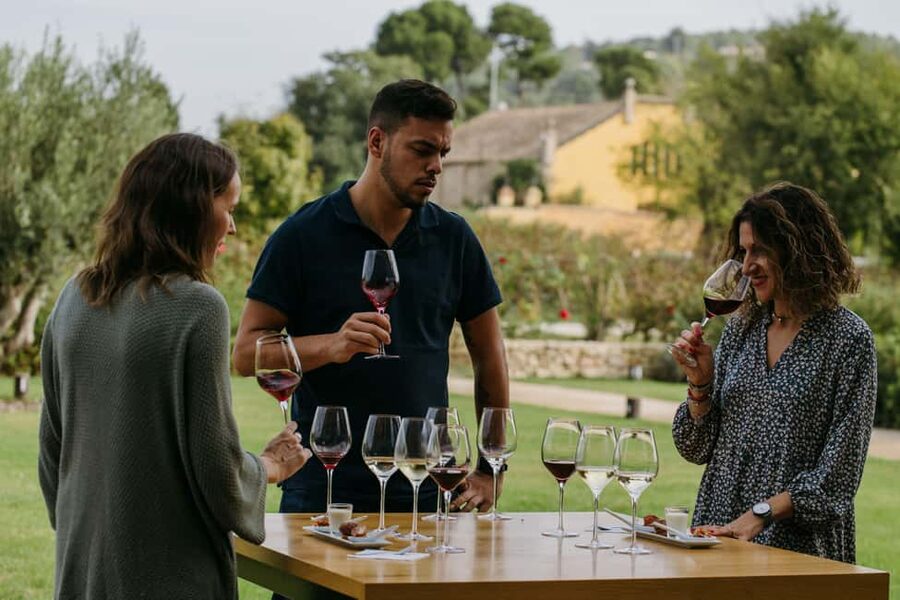 Barcelona-Penedès: Familia Torres wine & tapas winery tour - Two hours in Penedès: what to expect from the tempo