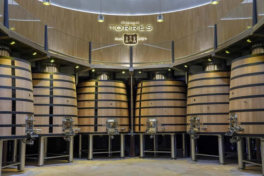 Barcelona-Penedès: Familia Torres wine & tapas winery tour - Quick practical notes before you go