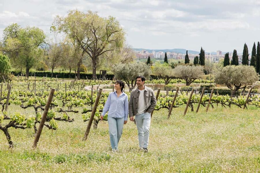 Barcelona-Penedès: Familia Torres wine & tapas winery tour - Walking the Mas La Plana vineyard and seeing regenerative viticulture up close