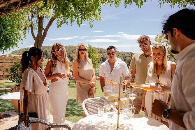 Barcelona: Private SITGES Tour and PENEDÈS Wine Tasting & TAPAS - Price and value: what you’re paying for at $346.12