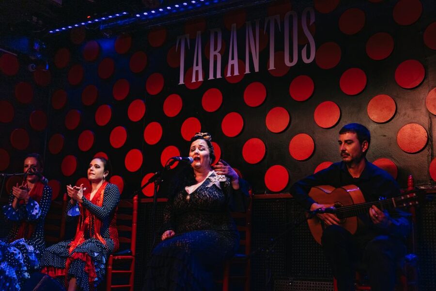 Barcelona: Tapas and Flamenco Experience - Key Things I Think You’ll Notice (Fast)