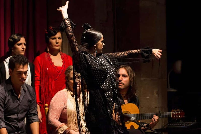 Barcelona: Tapas and Wine with Flamenco Show in the Old Town - Price and value: is $96 a fair deal?