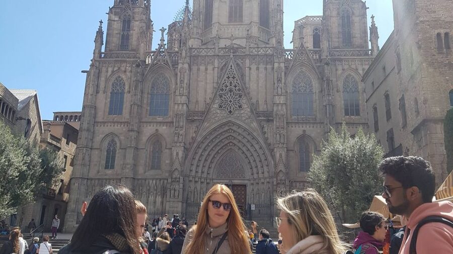 Barcelona: Tapas & Picasso Museum Guided Walking Tour - How skip-the-line and museum tickets work in practice
