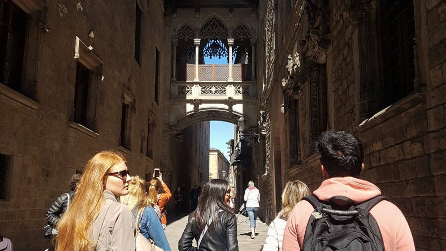 Barcelona: Tapas & Picasso Museum Guided Walking Tour - Timing, stamina, and how to make it enjoyable