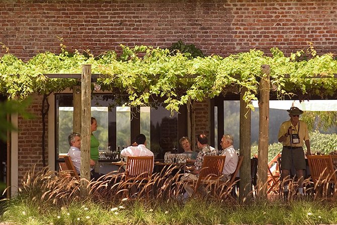 Bouza Winery Tastings and Tapas (Esp, Eng, Port) - Price and value: what $95 buys you in the real world
