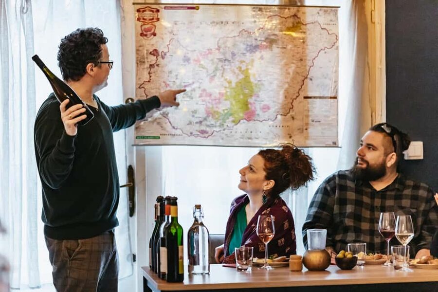 Budapest: Hungarian Wine Tasting with 7 Wines and Tapas - The main event: 7 Hungarian wines in a guided flight