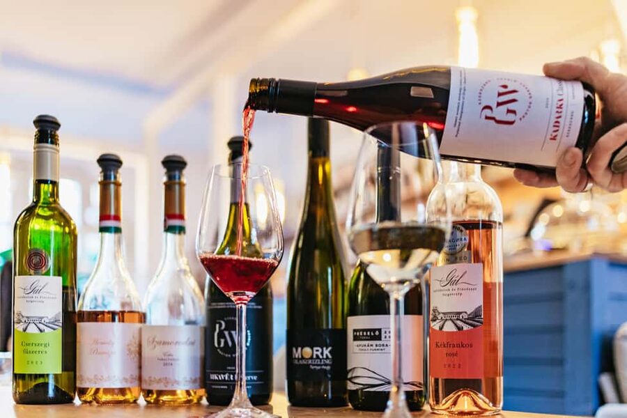 Budapest: Hungarian Wine Tasting with 7 Wines and Tapas - Tapas in Hungary style: farm products that actually pair