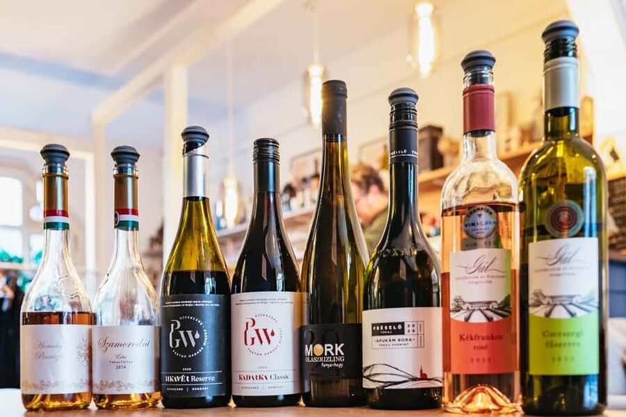 Budapest: Hungarian Wine Tasting with 7 Wines and Tapas - Hungarian wine regions, in plain language