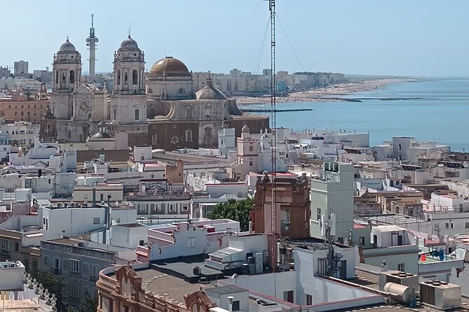 Cadiz Food Tour: Tapas, Drinks and Delights with a Local - Plaza de Mina: Green Squares and Local Tapas in a Real Restaurant