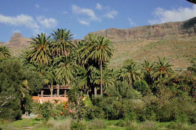 Camel Ride in Fataga with Tapas and drinks - The Garden Tour: Fruit Trees, Farm Animals, and a Proper Sense of Place