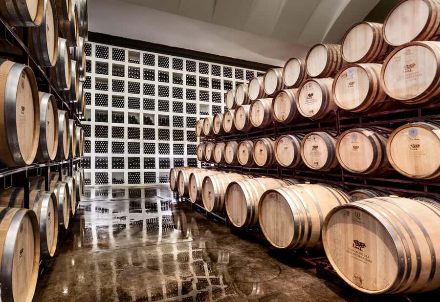 Casa Relvas, Évora - Visit to the Winery with Tasting of Portuguese Grape Varieties and Tapas - Key things to know before you go