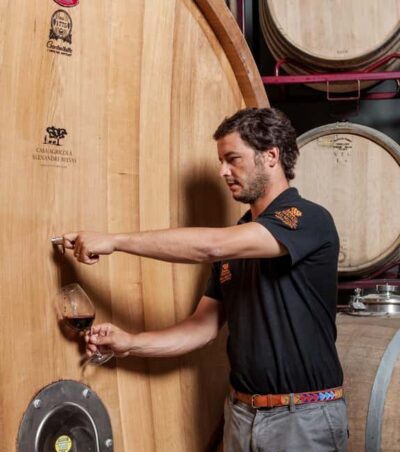 Casa Relvas, Évora - Visit to the Winery with Tasting of Portuguese Grape Varieties and Tapas - The tasting of 5 Portuguese wines, tapas, and olive oils