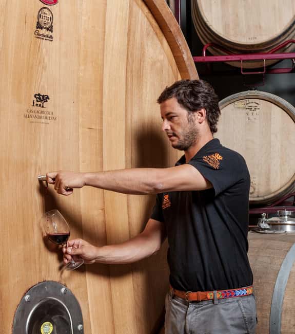 Casa Relvas, Évora - Visit to the Winery with Tasting of Portuguese Grape Varieties and Tapas - The tasting of 5 Portuguese wines, tapas, and olive oils