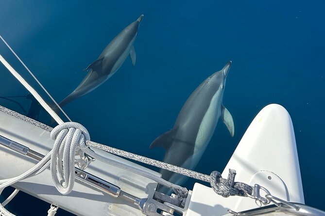 Catamaran Sailing Experience Manilva Tapas Drink Dolphins Swim Stop - Key things to know before you board