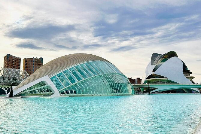 City of Arts & Sciences Tour with Rooftop Tapas & Wine - City of Arts and Sciences and the Rooftop Meal: A smart Valencia pairing