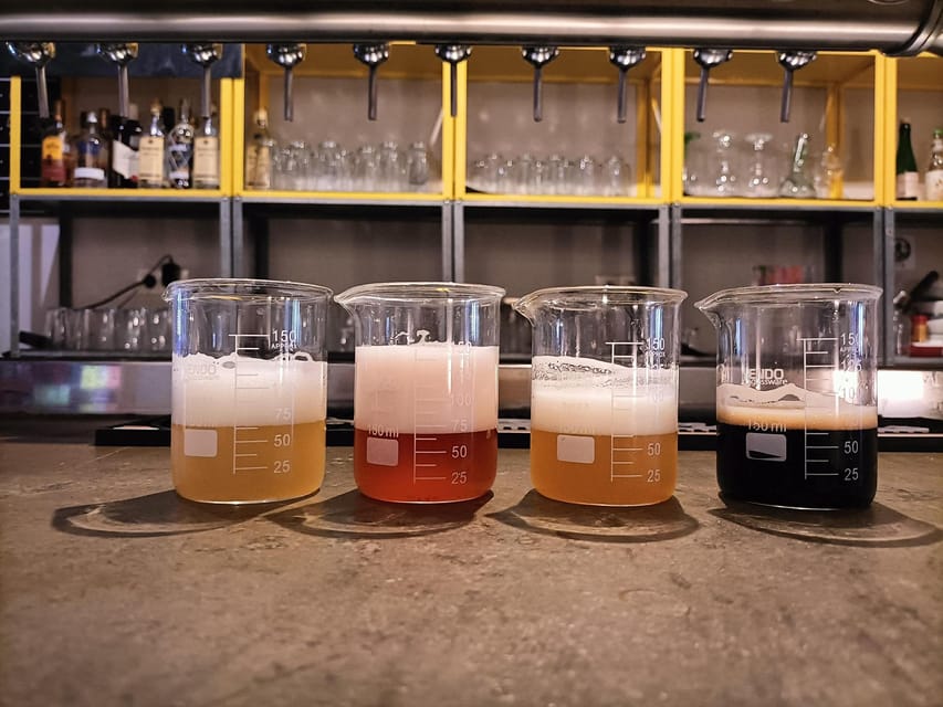 Craft Beer Tasting and tapas in Valencia - Beer Styles You’ll Meet: Sours, IPAs, and Stouts