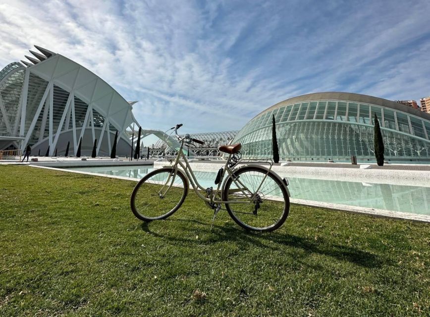 Discover & Taste Valencia on a Bike Tour (tapas + bike) - Who this Valencia tour suits best