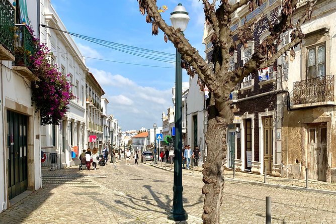 Discover Tavira - Tapas and Wine Tour - Why a 90-minute Tavira tuk tuk makes sense