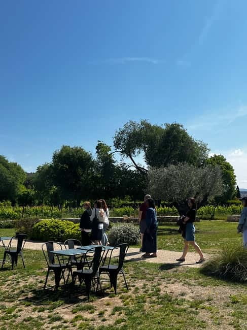 Familia Torres Winery: Gastronomic Tapas & Wine Experience - Should you book the Familia Torres tapas and wine experience?