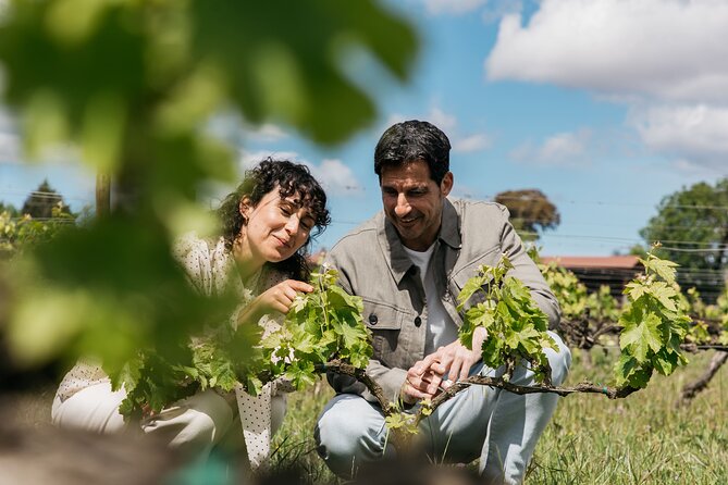 Familia Torres Winery: Gastronomic Tapas & Wine Experience - From Estació del Nord to the Penedès in one smooth move