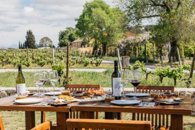 Familia Torres Winery: Gastronomic Tapas & Wine Experience - Getting from Barcelona: Estació del Nord to the vineyards
