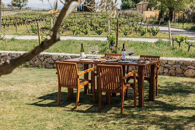 Familia Torres Winery: Gastronomic Tapas & Wine Experience - The four-wine tasting: vermouth, sparkling, white, red
