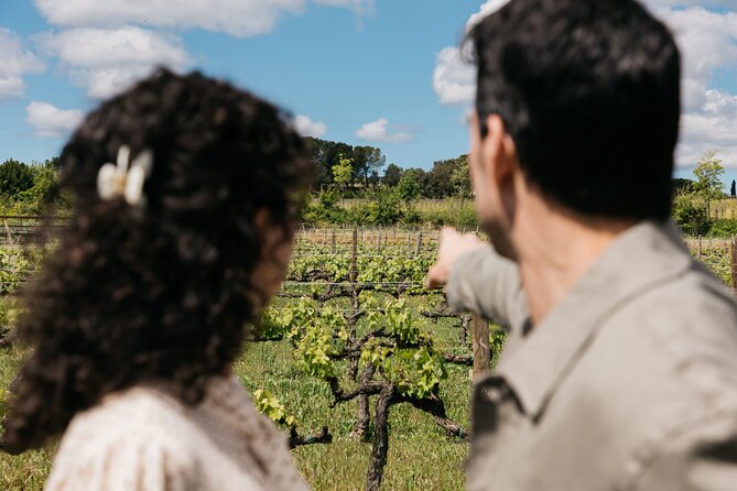 Familia Torres Winery: Gastronomic Tapas & Wine Experience - Price and logistics: does $151.23 match the value?
