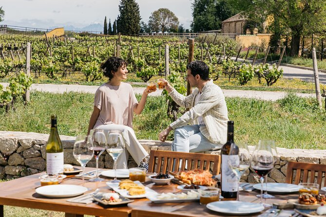 Familia Torres Winery: Gastronomic Tapas & Wine Experience - Who this Familia Torres tapas and wine trip fits best