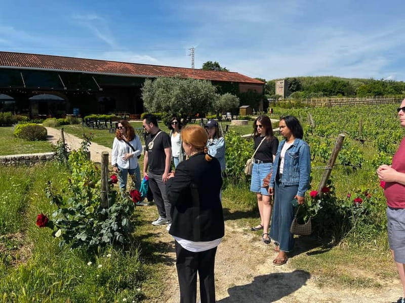 Familia Torres Winery: Gastronomic Tapas & Wine Experience - Who this tour suits best (and who might not love it)