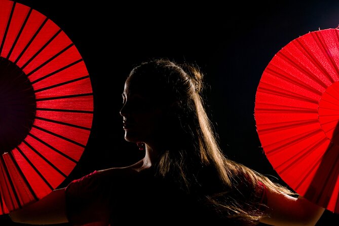 Flamenco show & tasting Tapas with panoramic views in Madrid - The Panoramic Tapas & Wine Window: Your Best View Time