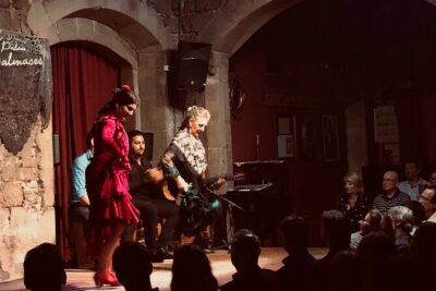Flamenco show & tasting Tapas with panoramic views in Madrid - Jardines de Las Vistillas: Viewpoint Time Plus a Bridge Mystery