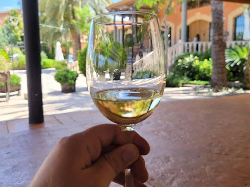 From Alicante: Winery Tour and Wine Tasting with Tapas - Walking the Vines: Harvest Effort in the Alicante Region