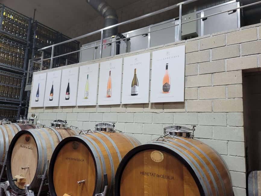 From Alicante: Winery Tour and Wine Tasting with Tapas - Getting to the Vineyard: Pickup Spots and a Small-Group Pace