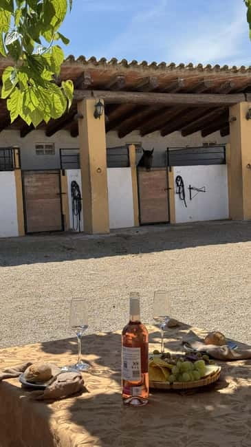 From Barcelona: PRIVATE Horseback Ride + Tapas + Picnic - The 1.5-hour horseback ride: what you’ll actually do out there