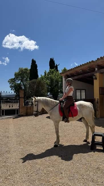 From Barcelona: PRIVATE Horseback Ride + Tapas + Picnic - Price and value: does $347 per person make sense?
